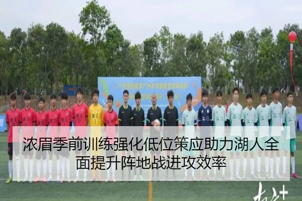 浓眉季前训练强化低位策应助力湖人全面提升阵地战进攻效率
