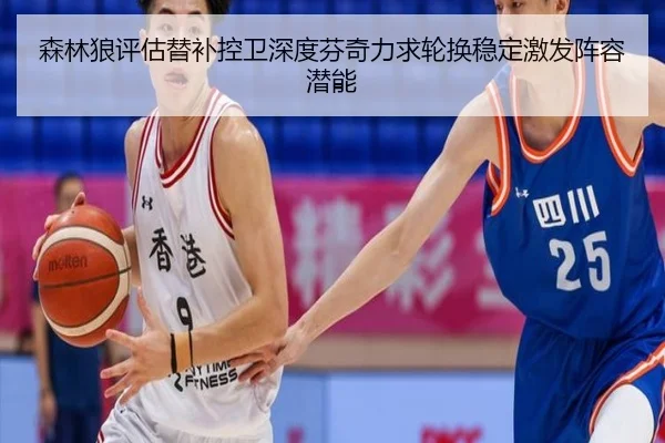 森林狼评估替补控卫深度芬奇力求轮换稳定激发阵容潜能
